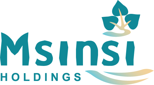 Msinsi Holdings